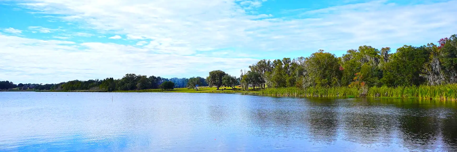 Middle lake park at Wesley Chapel, close to Tampa in Florida
